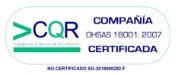 OHSAS 18001 2007 1